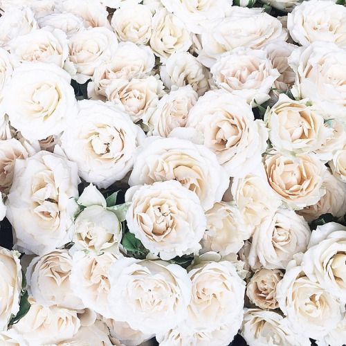ROSE WATER + TEA TREE OIL FACIAL TONER