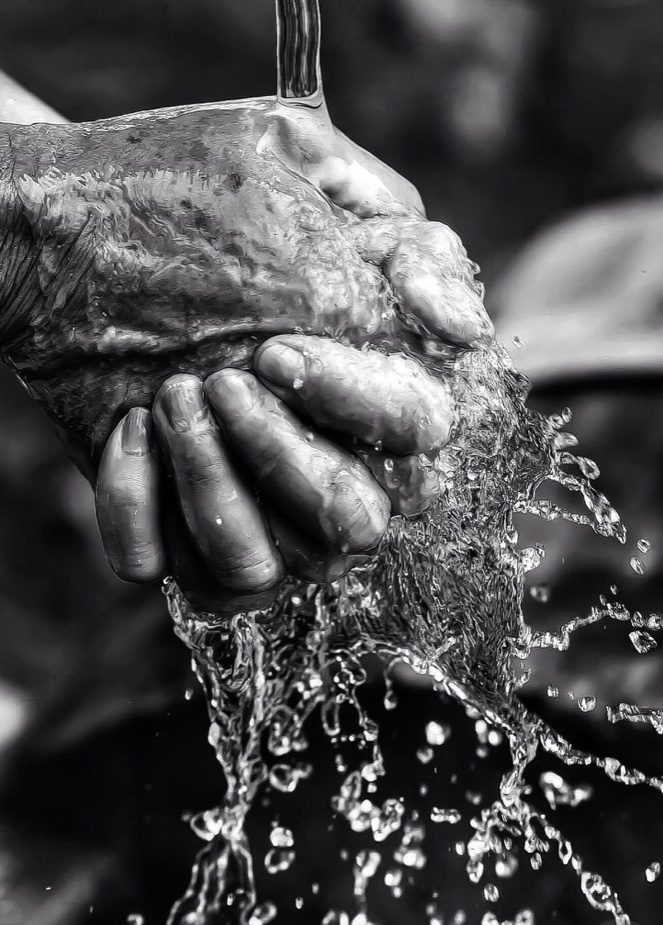 THE GOOD HAND WASH + DIY HYDRATING HAND SCRUB