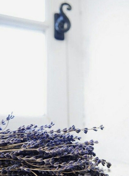 LAVENDER DIY HAIR MASK