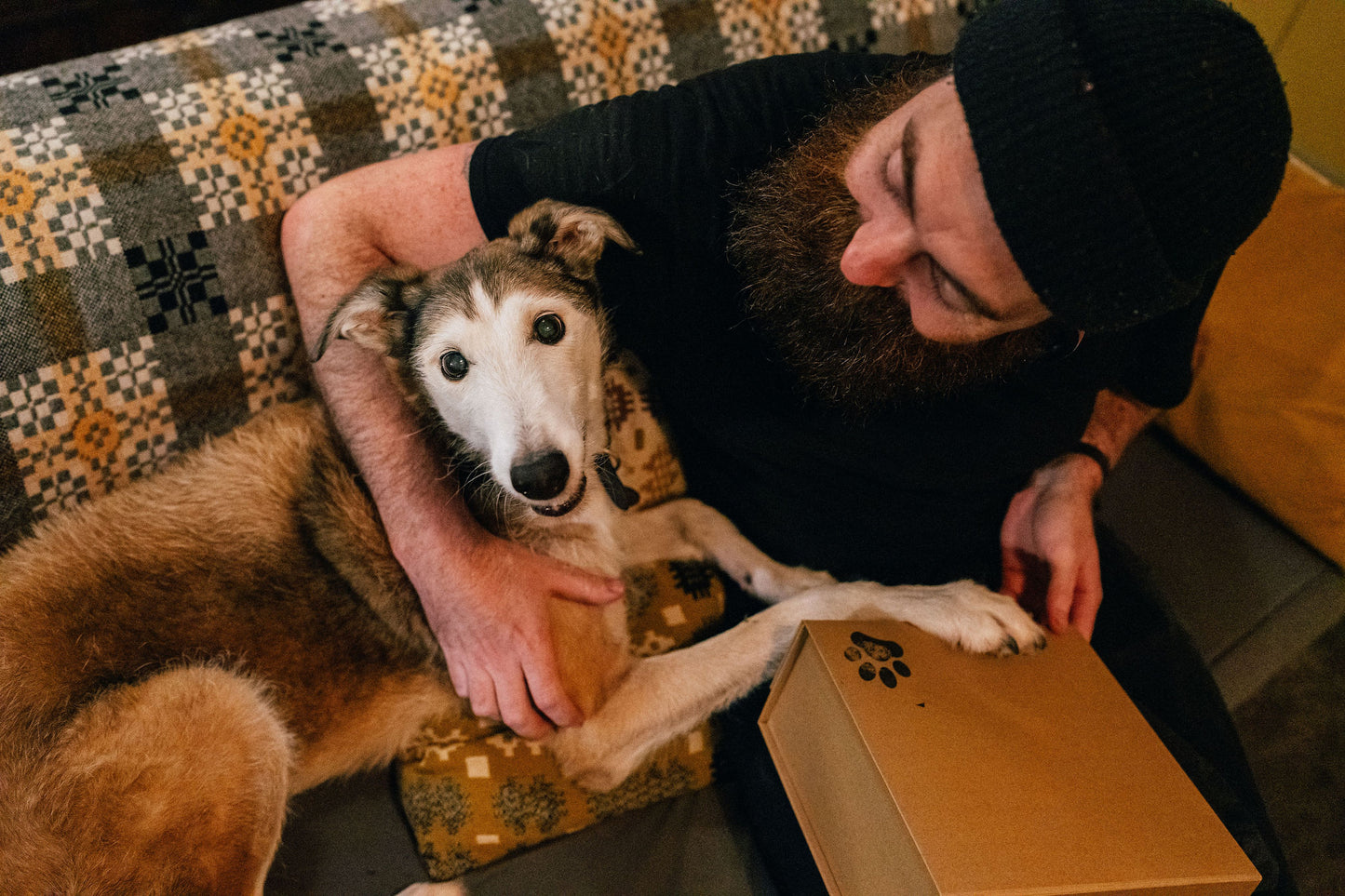 Dog Gift Box