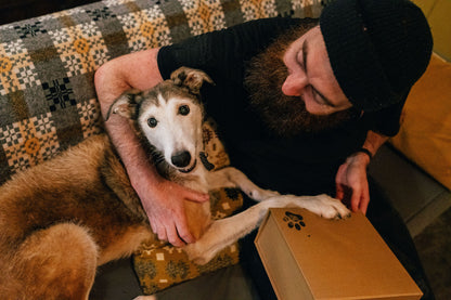 Dog Gift Box